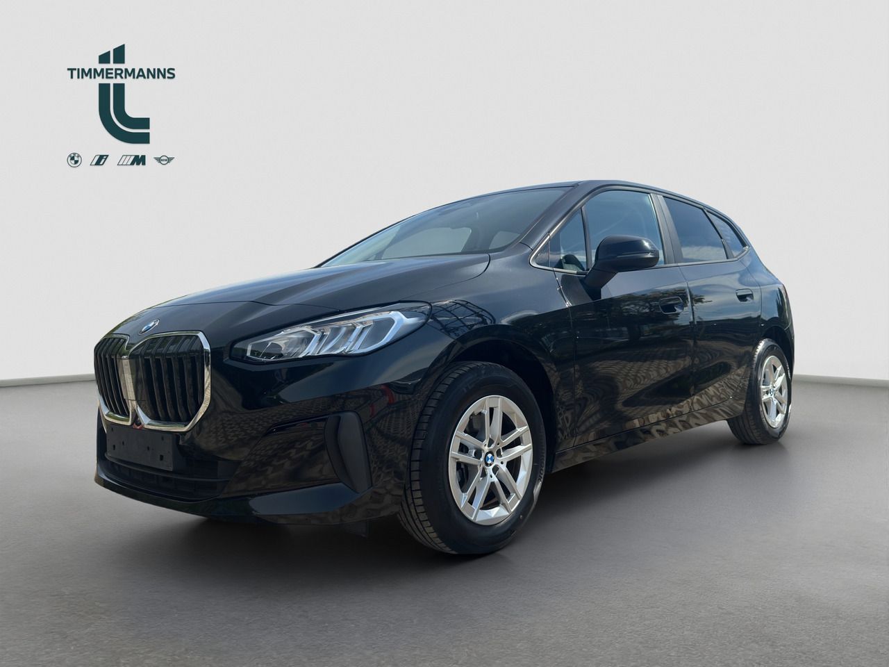 BMW 220i Active Tourer DrAss+ ParkAss