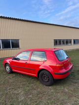 Volkswagen Golf 4 (1,4 16V, VW, IV, 87tkm,... - Volkswagen Golf: Iv 16
