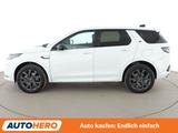 Land Rover Discovery Sport P300e Hybrid SE AWD Aut.*NAV*ACC - Land Rover Discovery Sport in Leipzig