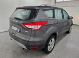 Ford Kuga 1.5 EcoBoost Trend Allwetter SHZ - Ford Kuga: Trend
