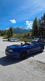 Ford Mustang 5.0 Ti-VCT V8 GT  Cabrio neu TÜV  - gebrauchte Ford Roadster