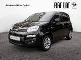 Fiat Panda 1.2 More RADIO KLIMA UVM. - Fiat Panda: More