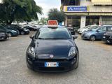 Fiat Punto 1.2 8V 5 porte Lounge - Fiat Punto LOUNGE mit Benzin-Antrieb