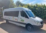 Mercedes-Benz Sprinter - Mercedes-Benz Sprinter aus 2010: Van