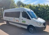 Mercedes-Benz Sprinter - Mercedes-Benz Sprinter aus 2010