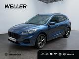Ford Kuga 2.0 EcoBlue Hybrid ST-LINE *LED*HUD*Kamera* - Ford Kuga in Osnabrück