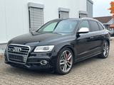 Audi SQ5 3.0 TDI quattro S-Line *XENON*B&O*TÜV NEU* - Audi SQ5 mit Anhängerkupplung