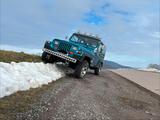 Jeep Wrangler yj - Jeep Gebrauchtwagen von 1995