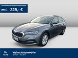 Skoda Octavia Combi 2.0TDI Active Klima LED APP DAB - Skoda Octavia Active mit Diesel-Antrieb