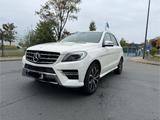 Mercedes-Benz Mercedes Benz ML 350 Bluetech *PANO*AMG-LI... - Mercedes-Benz ML 350 in Gelsenkirchen