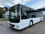 MAN Lions City A78 LE Ü /Klima groß/Gurte/Niederflur - MAN Lion
