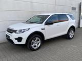Land Rover Discovery Sport 2.0 eD4  Pure Nav Shz EU6 - Land Rover: Weiß
