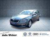 Skoda Octavia 1.0 TSI Combi LED Navi Rfk eKlappe Leder - Skoda Gebrauchtwagen in Hamm