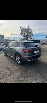 Audi Q5 50 TDI tiptronic quattro design design - Audi Q5 design mit Diesel-Antrieb