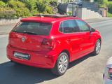 Volkswagen Polo V Life 1,2 TSI/Life-Plus-Paket/Pano/Gar./ - Volkswagen Polo: Rot