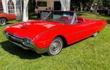 Ford Thunderbird - Ford Thunderbird: Cabrio