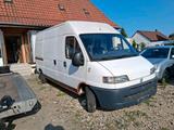 Fiat Ducato 2,8 Motor Getriebe sehr gut - Fiat Ducato in Braunschweig