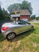 Opel Tigra TÜV wenig km Cabrio!! - Opel Tigra in Dortmund