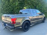 Ford F 150 Shelby Super Snake 5.0 V8 Kompressor  - Ford: Shelby Super Snake