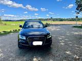 Audi SQ5 3.0 TDI tiptronic quattro - - Audi SQ5 in Augsburg