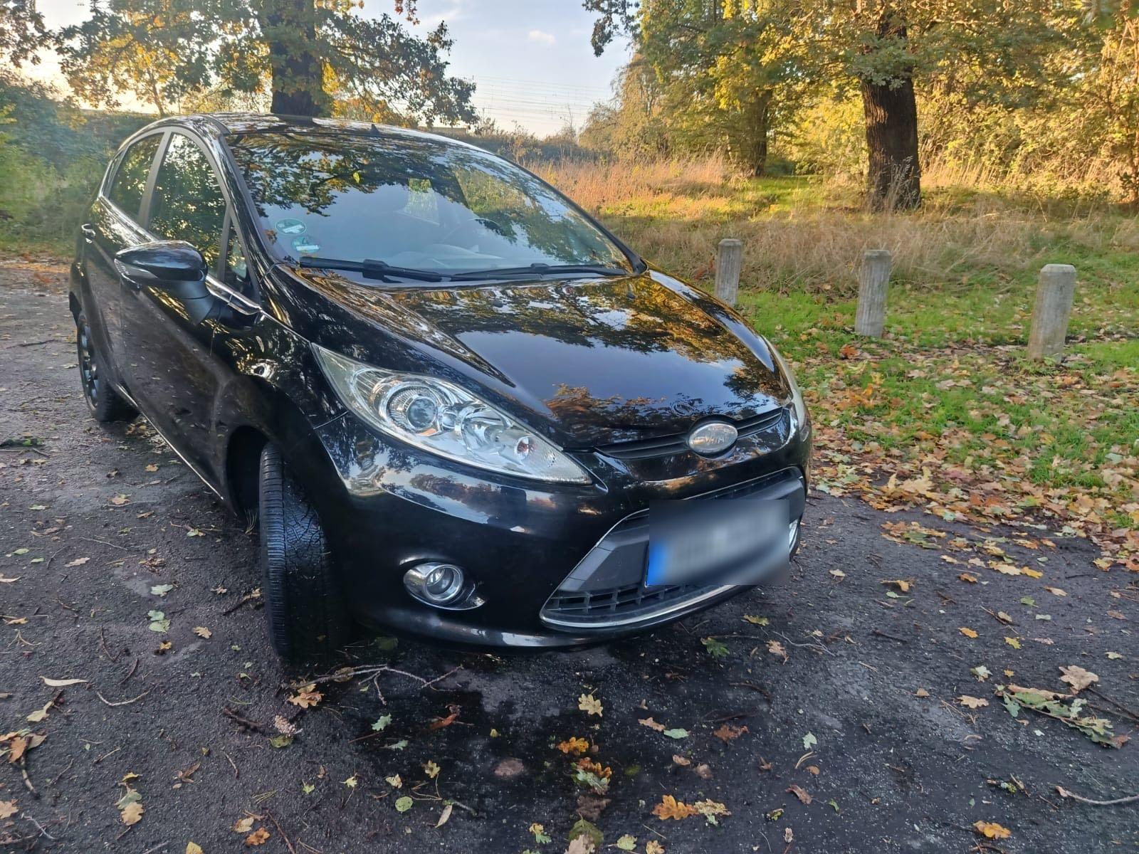 Ford Fiesta 2010 — photo 7