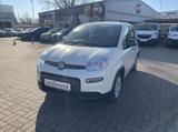 Fiat Panda MY24 1.0 Klima PDC Citypaket - Fiat Panda aus 2025