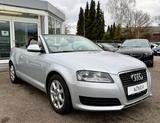Audi A3 Cabriolet Attraction LEDER