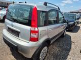 Fiat Panda 1.2 8V Climbing 4X4 - Fiat aus 2007