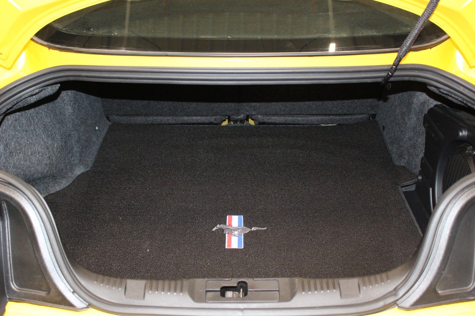 Fahrzeugabbildung Ford Mustang 5.0 V8 GT Performance-Paket+KW-Fahrwerk