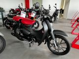 Honda Super Cub 125 sofort verfügbar ! - Offers matching your search criteria