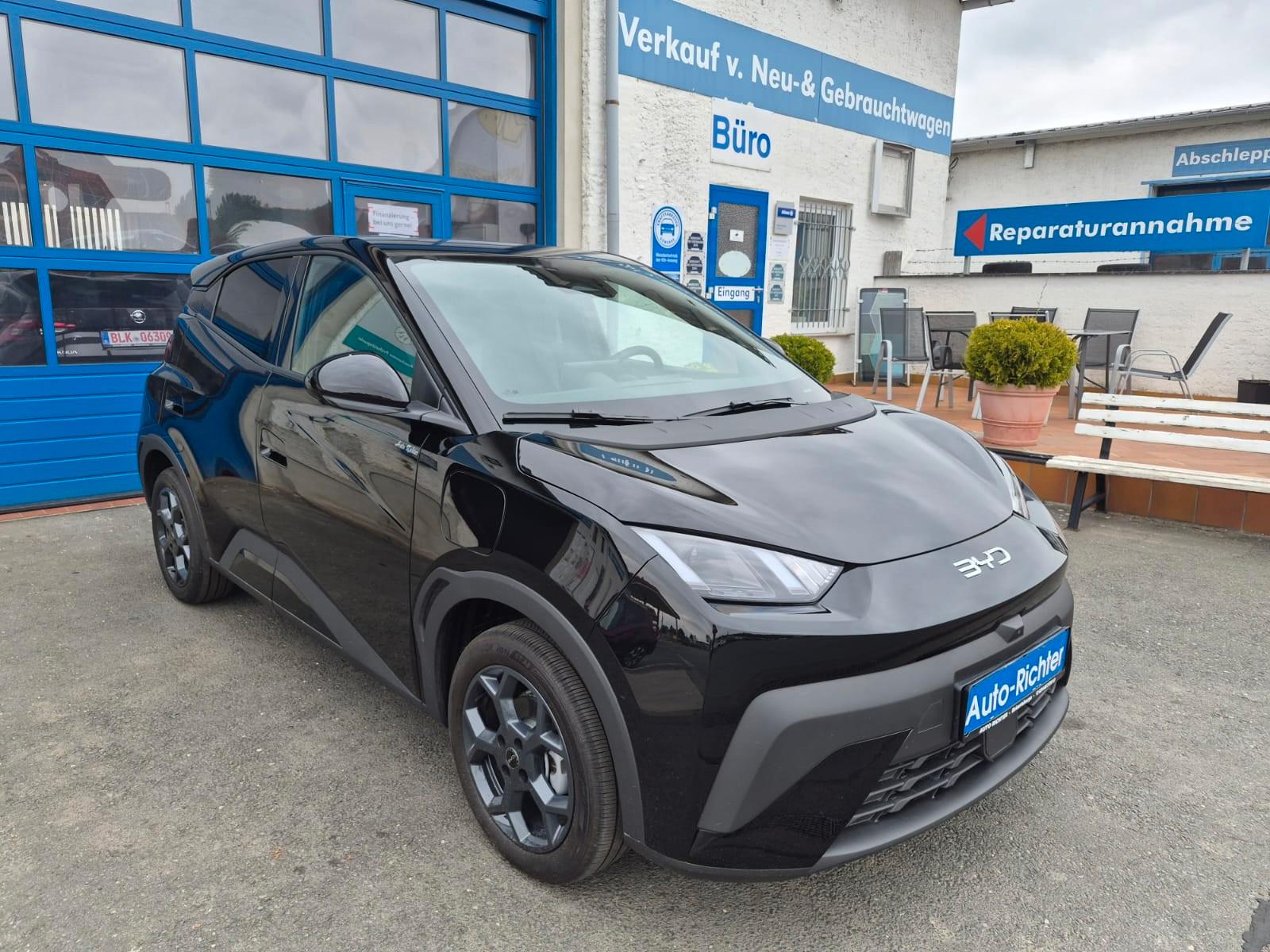 BYD DOLPHIN Surf 43.2kWh Comfort Sitzheizung