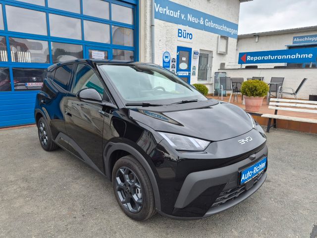 BYD DOLPHIN SURF
