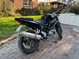 Suzuki SV 650 N K5 * 48PS vorhanden - SUZUKI SV 650 N
