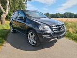 Mercedes-Benz ML 350 ML -Klasse ML 350 CDI 4Matic - Mercedes-Benz ML 350 Gebrauchtwagen in Hamburg