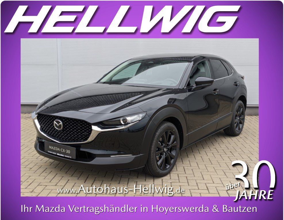 Mazda CX-30 2.5l (140PS) Homura Kamera Navi Head-up