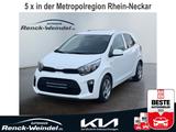 Kia Picanto 1.0 Vision Rückfahrkam. Navi Klimaautom  - gebrauchte Kia Picanto aus dem Jahr 2024