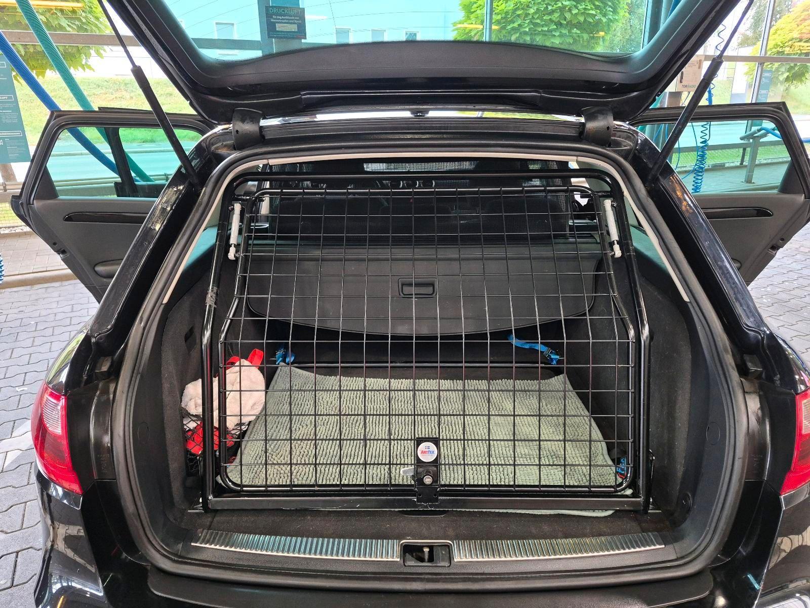 Seat Exeo 2011 — photo 7