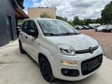 Fiat Panda Easy - Fiat Panda in Chemnitz