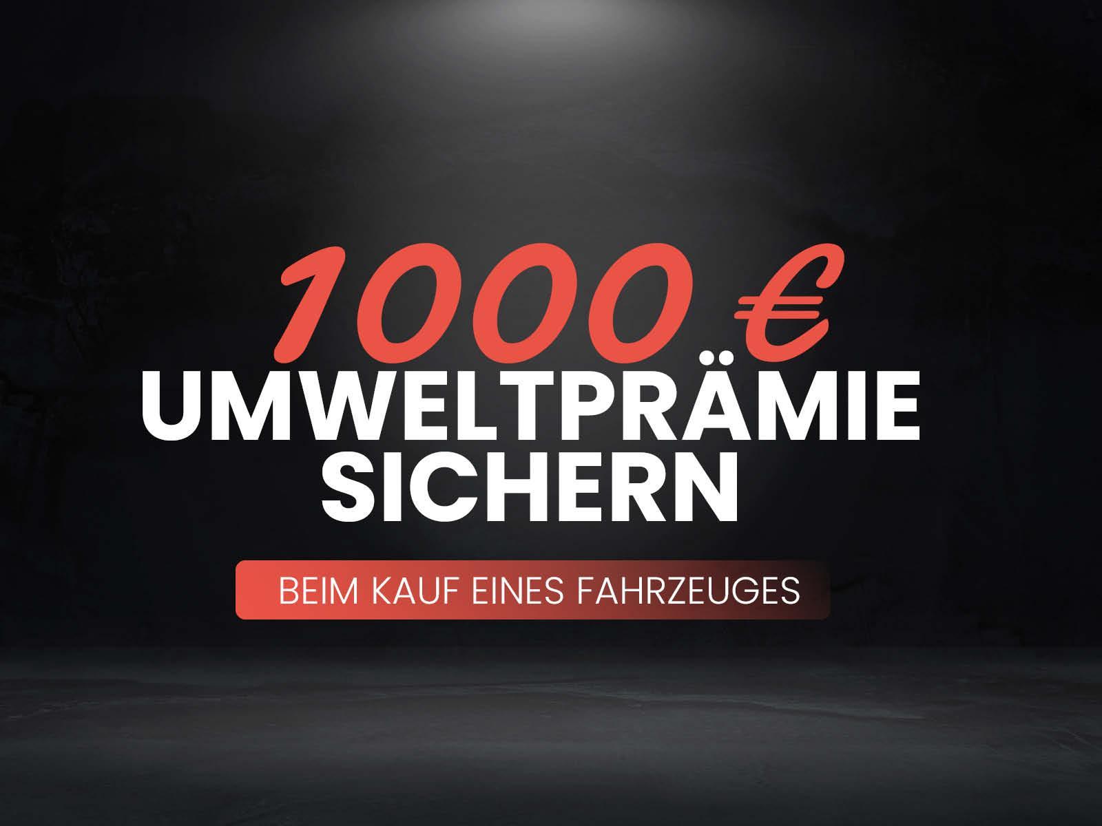 Volkswagen Tiguan 2.0 TDI Highline 4 Motion AHK Pano AreaVi