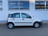 Fiat Panda 1.1 8V *Active Airbag Servo ABS*1.HAND* - Fiat Panda Active mit Benzin-Antrieb