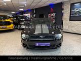 Ford Mustang 3.7 V6 / Cabrio / Night-Edt. / Xenon / - Ford Mustang: Cabrio, V6