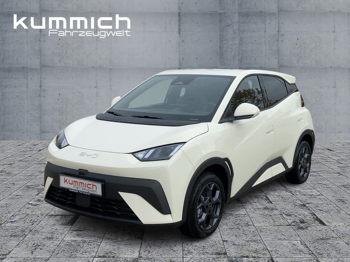 BYD DOLPHIN SURF Comfort