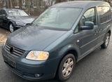 Volkswagen Caddy Life Family 1.6L,1.Hd,neue AHK,Scheckheft - Volkswagen Caddy mit Benzin-Antrieb: Kombi, 1.6