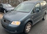 Volkswagen Caddy Life Family 1.6L,1.Hd,neue AHK,Scheckheft - Volkswagen Caddy mit Benzin-Antrieb: Kombi, 1.6
