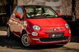 Fiat 500 Lounge PANO/LED/PDC/KLIMA/CARPLAY/TEMPO - Fiat: Sportwagen
