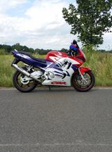 Honda CBR 600 pc 31 - HONDA 1998 CBR 600