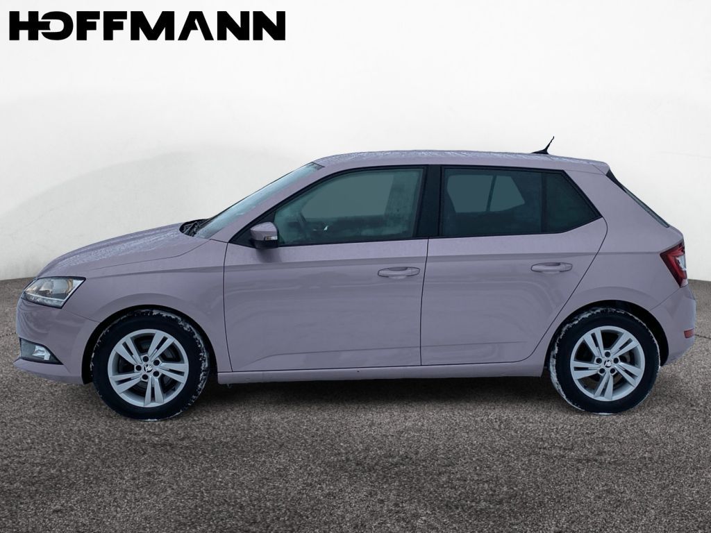 Fahrzeugabbildung SKODA Fabia 1.0 TSI Style