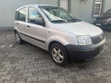 Fiat FIAT PANDA 1 HAND BJ 2009 - Fiat Panda Gebrauchtwagen in Krefeld