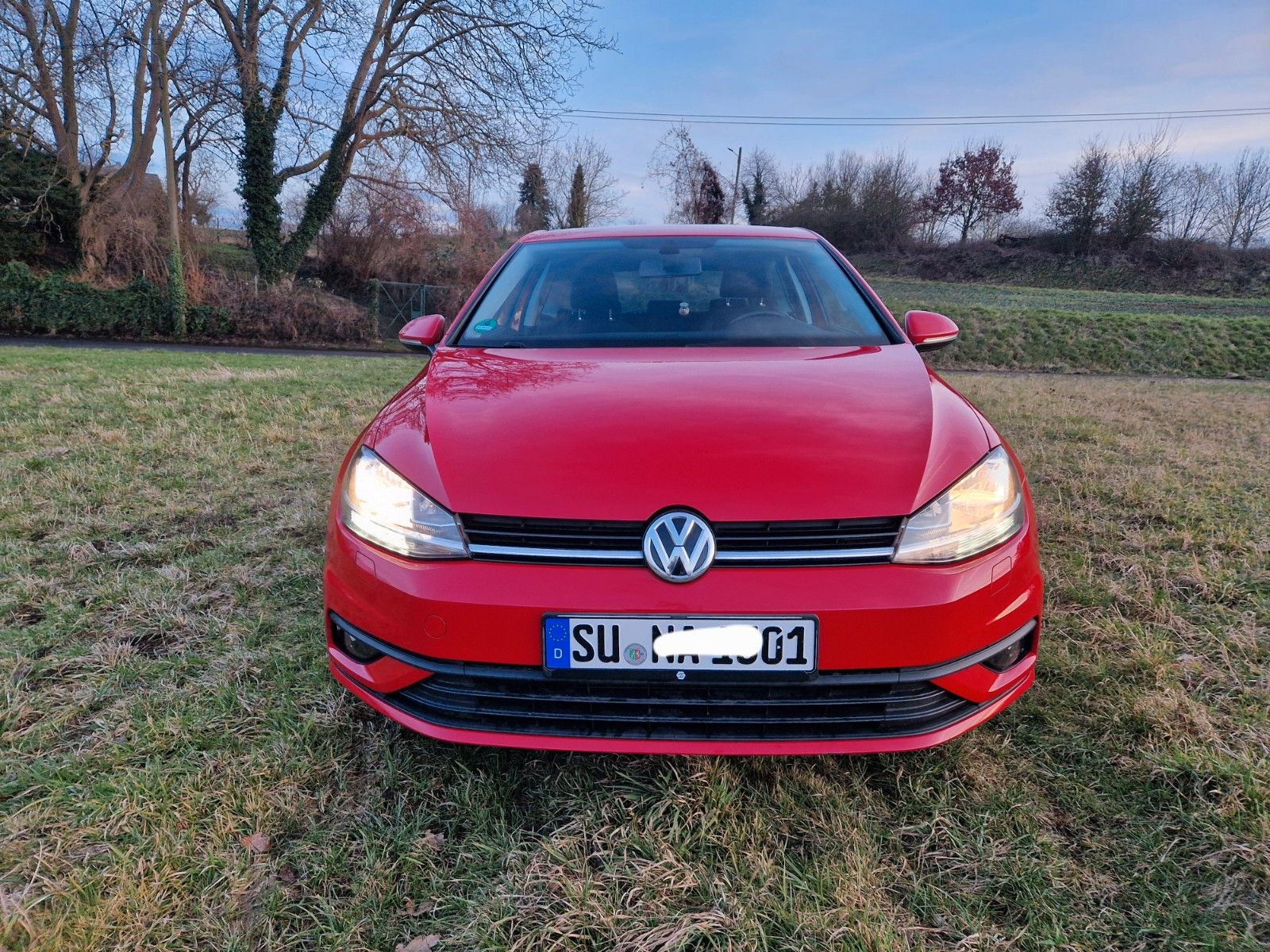 VW Golf