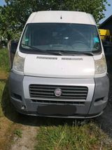 Fiat Ducato 2,2 Transporter 6 gang Kasten ... - Fiat: Transporter